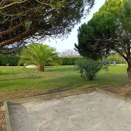 Catshouse مكان تخييم