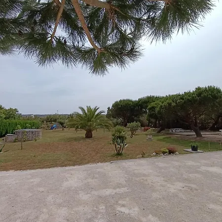 Catshouse * Carqueja