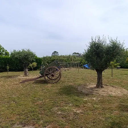 Parque de Campismo Catshouse