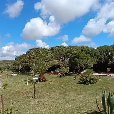 Catshouse Parque de Campismo *